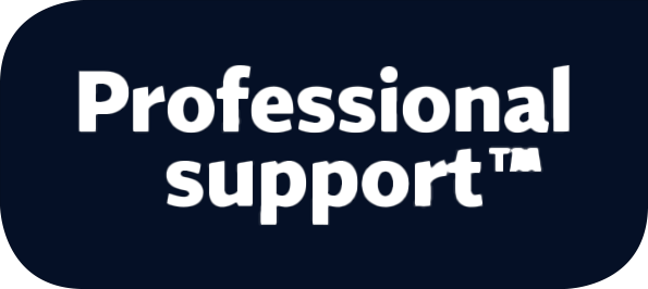 Professional Support